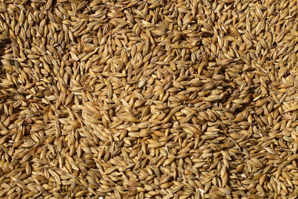 GARANT&Iacute;A DE CALIDAD