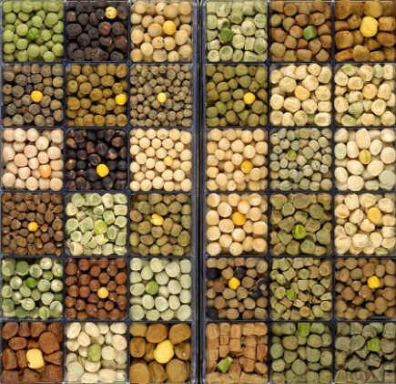 Desarrollan un nuevo tipo de guisante que facilita la digesti&oacute;n de prote&iacute;nas